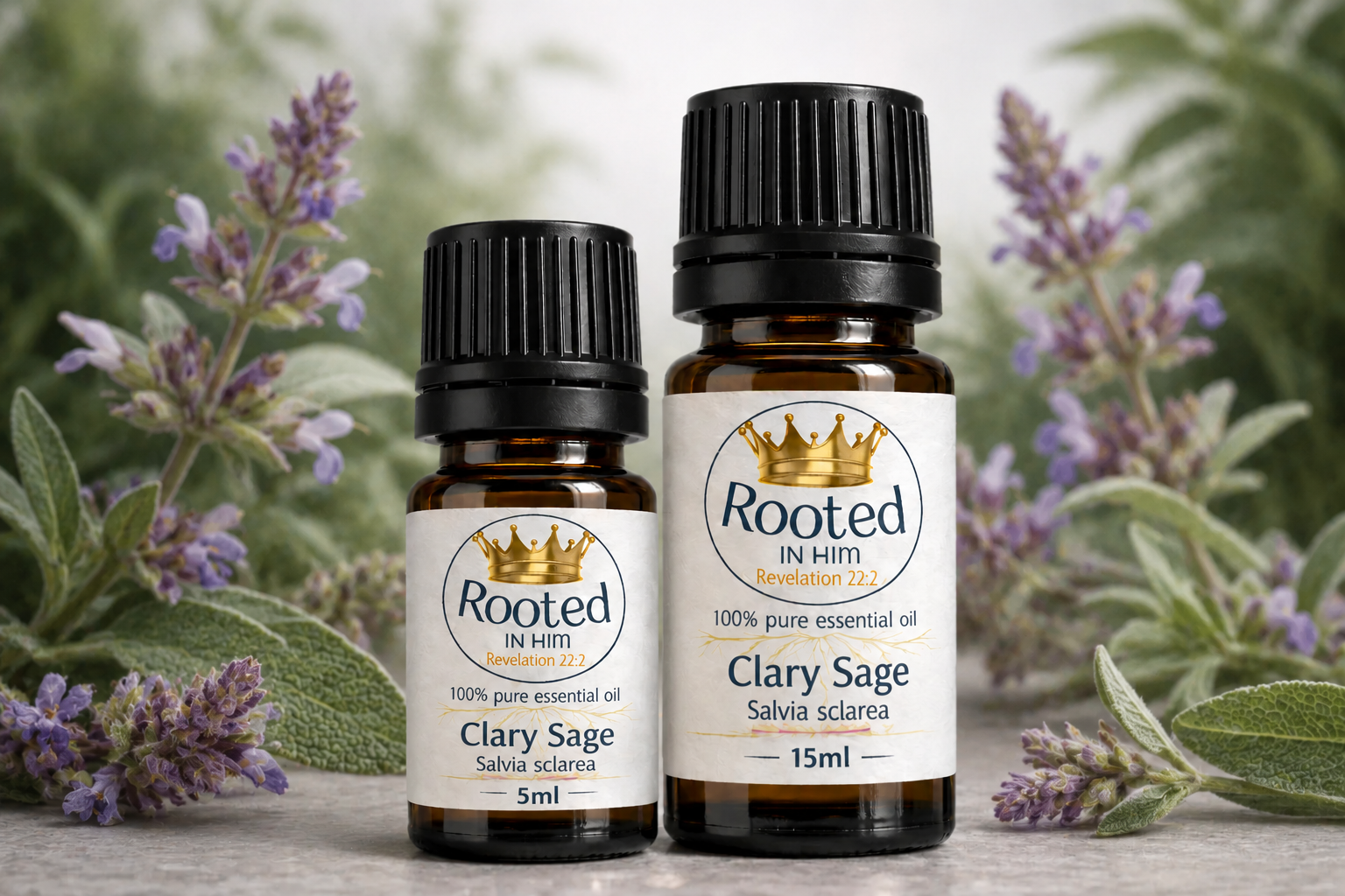 Clary Sage Pure Essential Oil - Salvia Sclarea | Rooted in Him