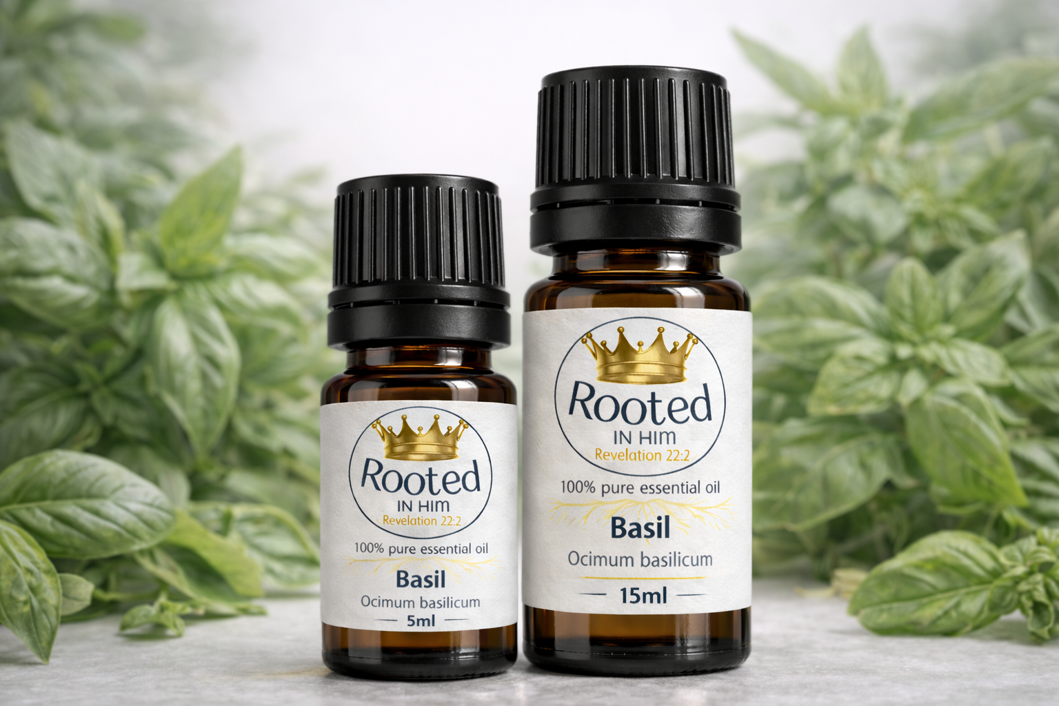 basil essential oil bottles 5ml and 15ml rooted in him