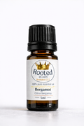bergamot essential oil 5ml amber bottle rooted in him