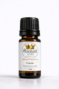 cassia essential oil 5ml amber bottle rooted in him