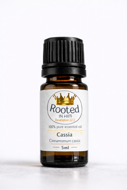 cassia essential oil 5ml amber bottle rooted in him