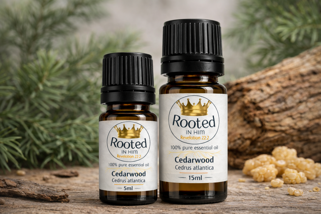 cedarwood essential oil bottles 5ml and 15ml rooted in him