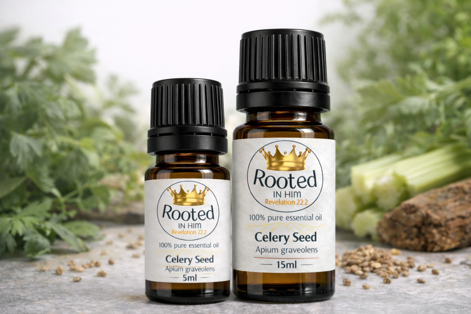 celery seed essential oil bottles 5ml and 15ml rooted in him