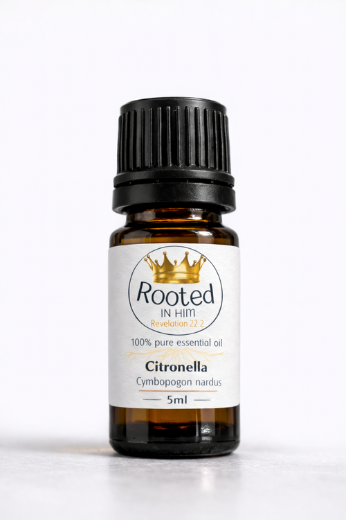 citronella essential oil 5ml amber bottle rooted in him
