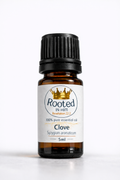 clove essential oil 5ml amber bottle rooted in him