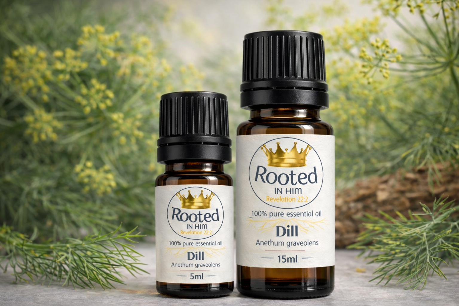 dill essential oil bottles 5ml and 15ml rooted in him