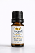 eucalyptus globulus essential oil 5ml amber bottle rooted in him