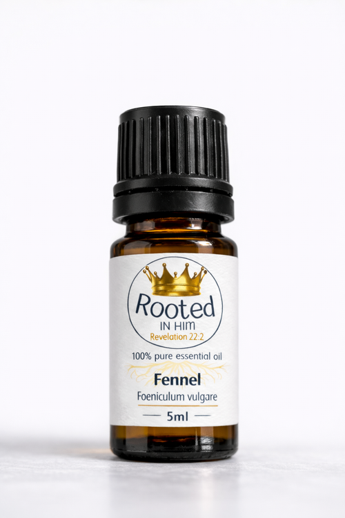 fennel essential oil 5ml amber bottle rooted in him