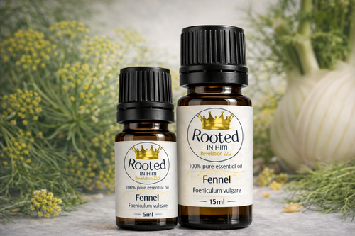 fennel essential oil bottles 5ml and 15ml rooted in him