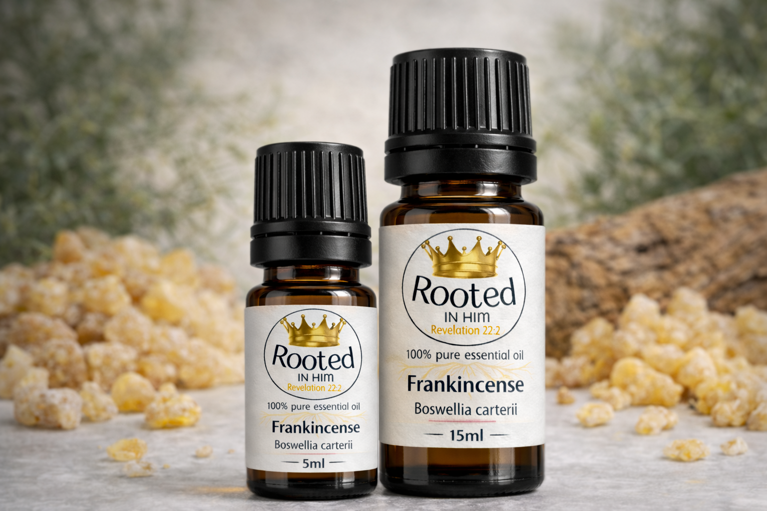 frankincense essential oil bottles 5ml and 15ml rooted in him