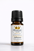 galbanum essential oil 5ml amber bottle rooted in him