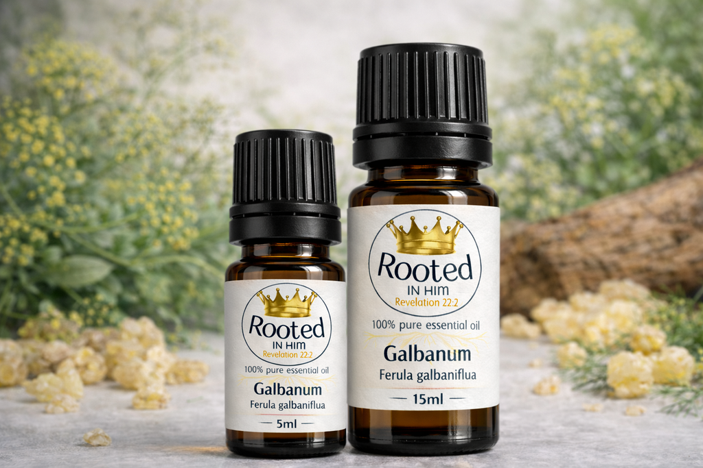 galbanum essential oil bottles 5ml and 15ml rooted in him