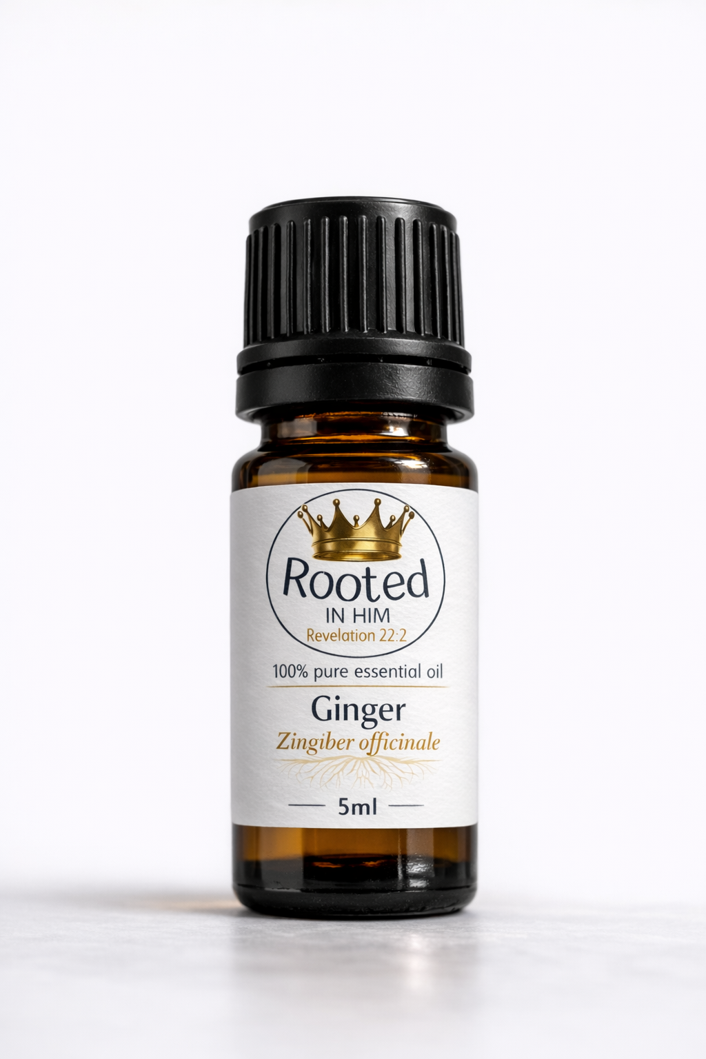 ginger essential oil 5ml amber bottle rooted in him