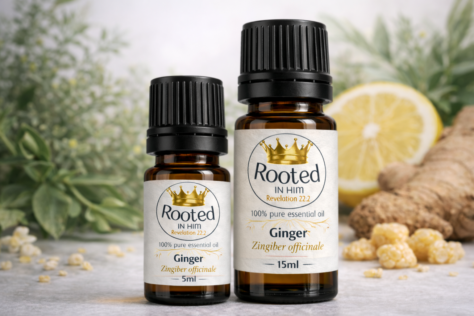ginger essential oil bottles 5ml and 15ml rooted in him