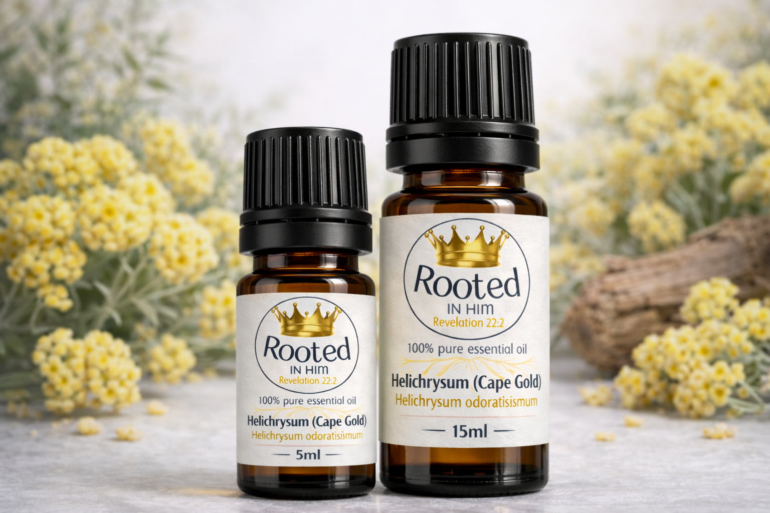 helichrysum cape gold essential oil bottles 5ml and 15ml rooted in him
