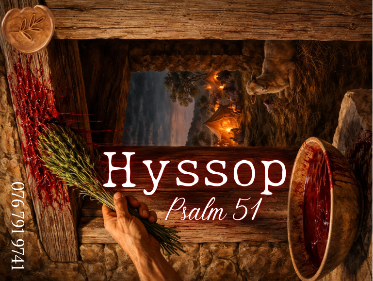 hyssop anointing oil label inspired by psalm 51 cleansing scripture