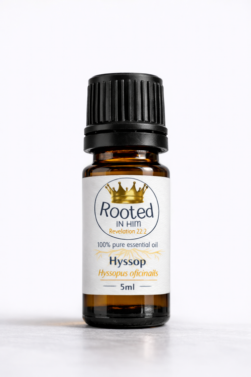 hyssop essential oil 5ml amber bottle rooted in him