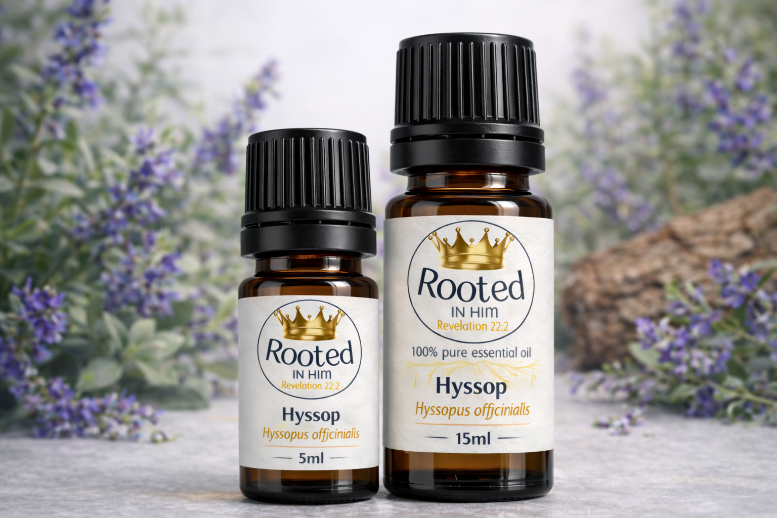 hyssop essential oil bottles 5ml and 15ml rooted in him