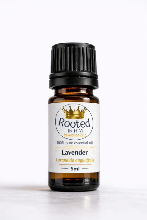 lavender essential oil 5ml amber bottle rooted in him