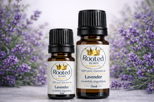lavender essential oil bottles 5ml and 15ml rooted in him