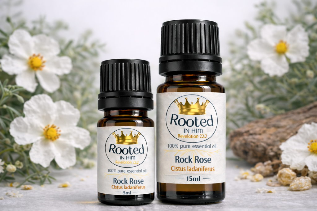 rock rose essential oil bottles 5ml and 15ml rooted in him