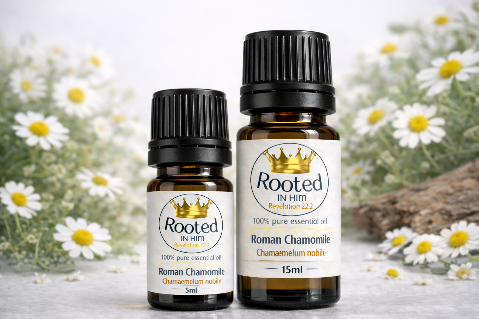 roman chamomile essential oil bottles 5ml and 15ml rooted in him