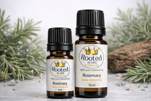 rosemary essential oil bottles 5ml and 15ml rooted in him