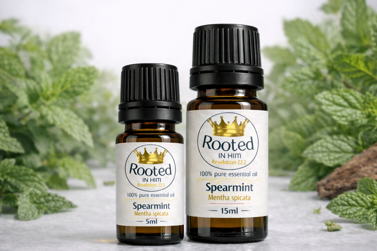 spearmint essential oil bottles 5ml and 15ml rooted in him