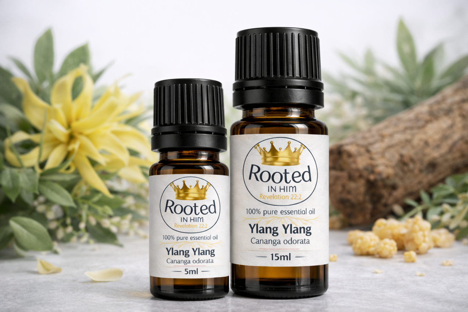 ylang ylang essential oil bottles 5ml and 15ml rooted in him
